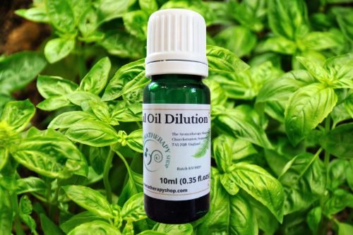 Basil Essential Oil Dilution