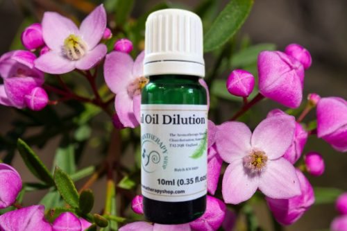 Boronia Essential Oil Dilution