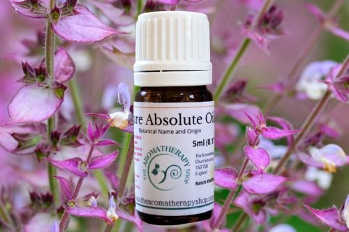 Clary Sage Absolute Oil (Origin: France)