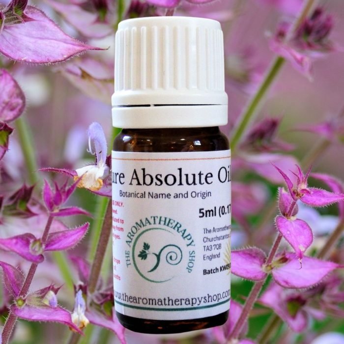 Clary Sage Absolute Oil (Origin: France)