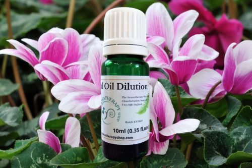 Cyclamen Essential Oil Dilution