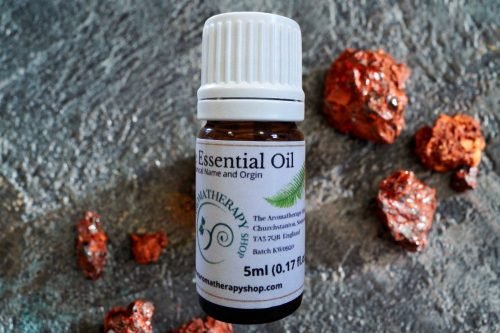 Dragon Tree Essential Oil / Deep, Sweet and Musky (Origin: South America Rainforest)