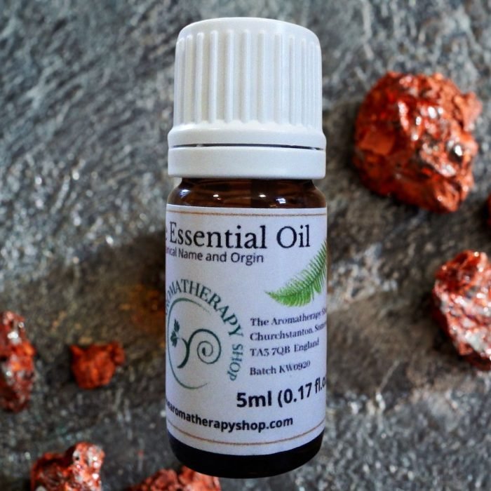 Dragon Tree Essential Oil / Deep, Sweet and Musky (Origin: South America Rainforest)