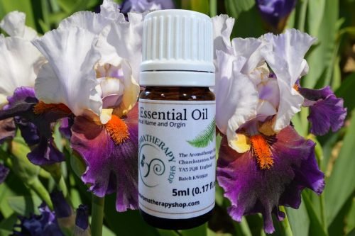 Egyptian Iris Essential Oil