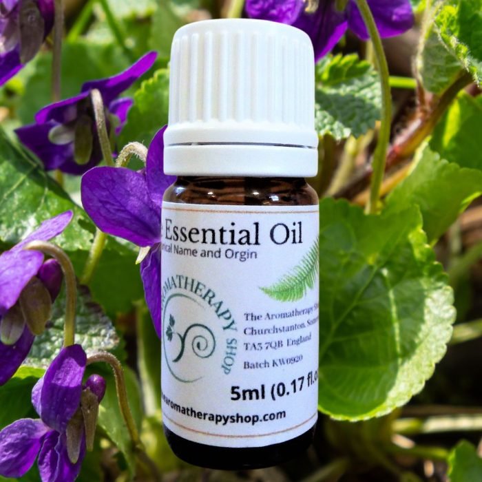 Egyptian Violet Essential Oil
