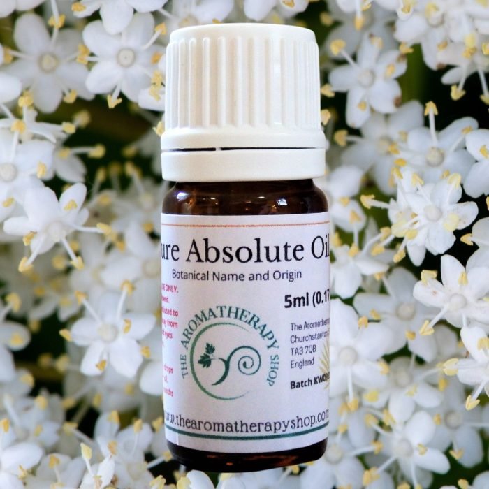 French Elderflower Absolute / 10% in DPG