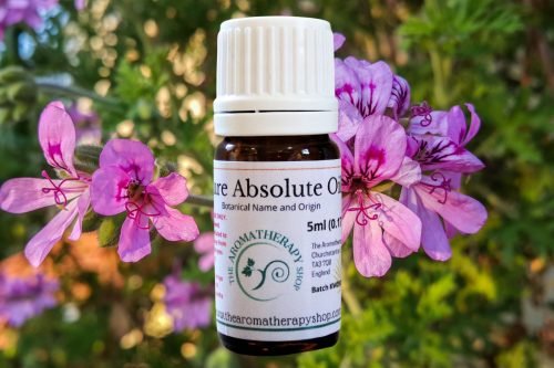 Geranium Absolute Oil (Origin: Egypt)