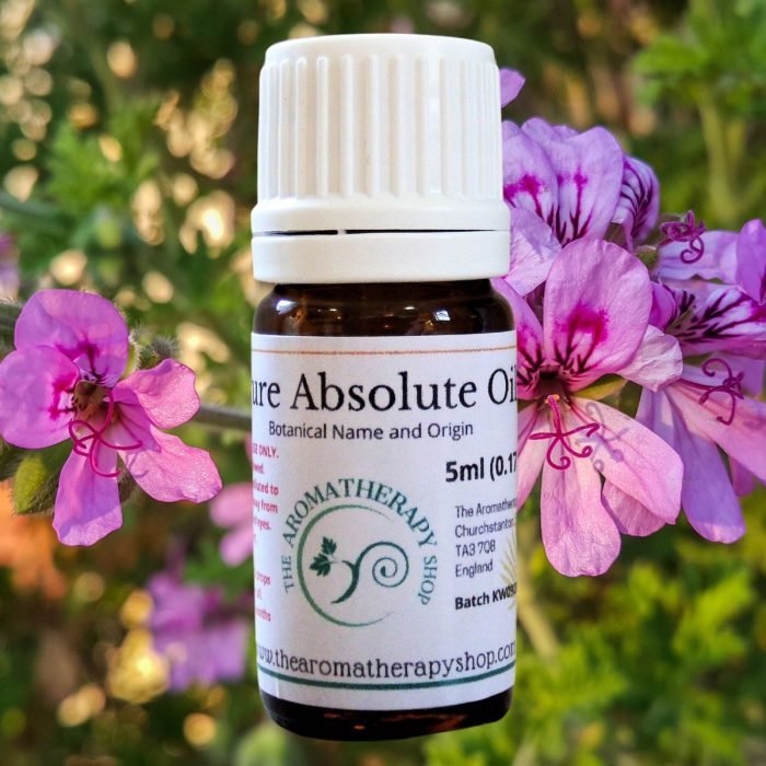 Geranium Absolute Oil (Origin: Egypt)