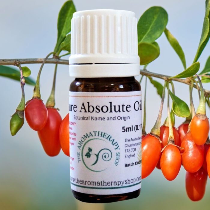 Goji Berry Absolute Oil (Origin: France)