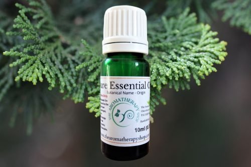 Hinoki Wood Pure Essential Oil (Origin: Japan)