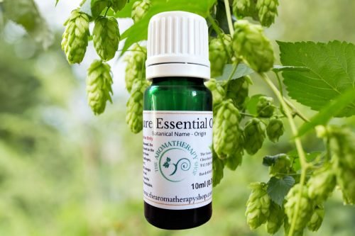 Hop Pure Essential Oil (Origin: USA)