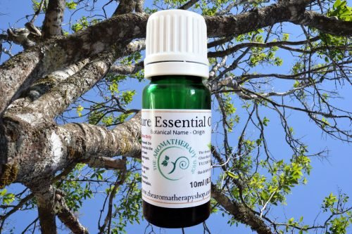Indian Sandalwood Pure Essential Oil / USDA Certified Organic