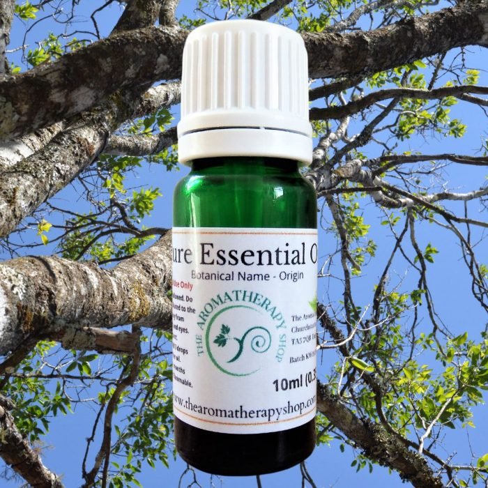 Sandalwood (Indian) Pure Essential Oil