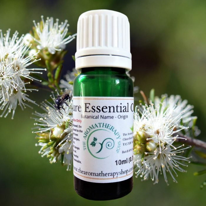 Kunzea (White Cloud) Pure Essential Oil (Origin: Tasmania)