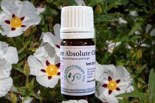 Labdanum Finest Absolute in 50% ETH / Intense and Rich