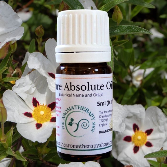 Labdanum Finest Absolute in 50% ETH / Intense and Rich