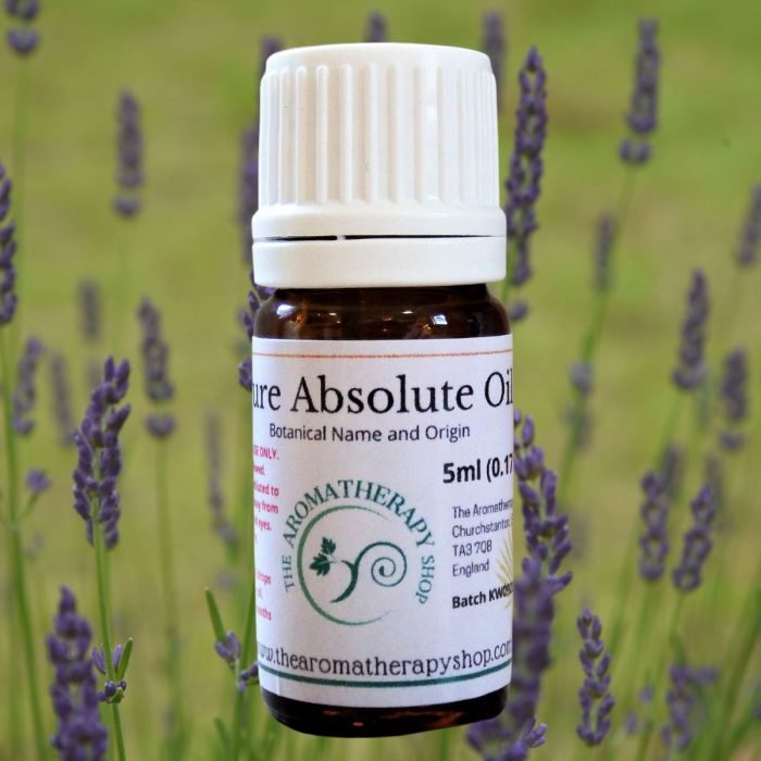 Lavandin Abrialis Absolute (Origin: Southern France)