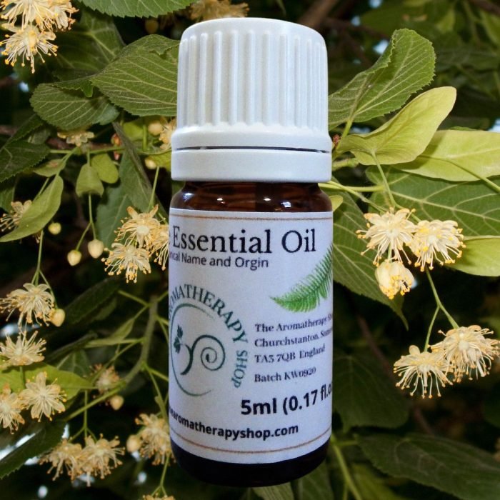 Linden Blossom Pure Essential Oil (Origin: France)