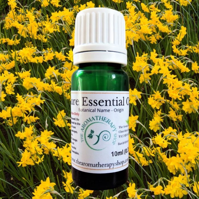 French Narcissus (Jonquil) Pure Essential Oil
