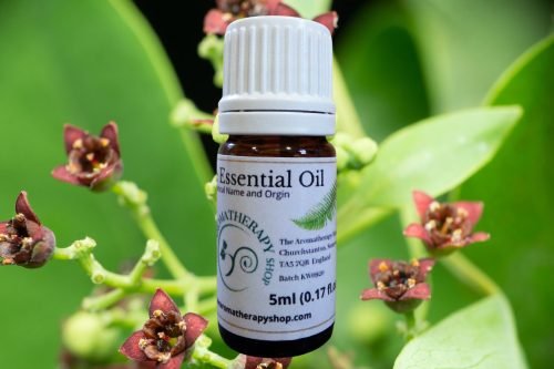 Royal Hawaiian Sandalwood Pure Essential Oil (Origin: Hawaii)