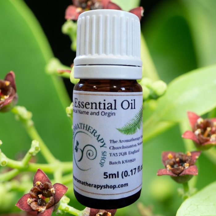 Royal Hawaiian Sandalwood Pure Essential Oil (Origin: Hawaii)