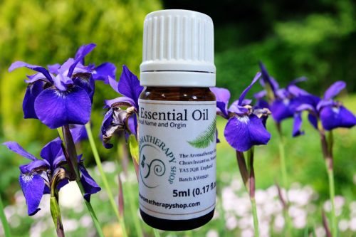 Siberian Iris Essential Oil