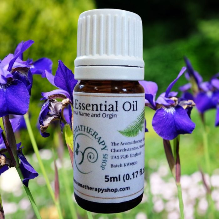Siberian Iris Essential Oil