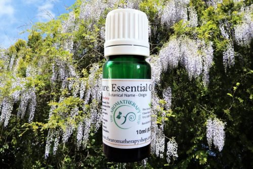 Wisteria Pure Essential Oil (Origin: Canada)