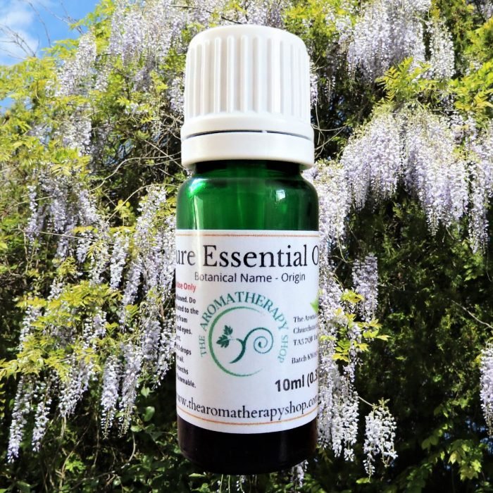 Wisteria Pure Essential Oil (Origin: Canada)