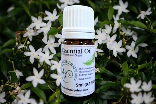 Gardenia Pure Essential Oil (Origin: China)