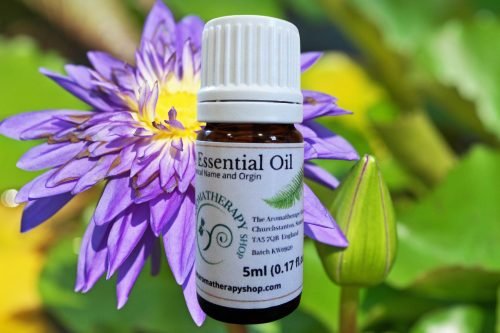 Blue Lotus Essential Oil / Steam Distilled