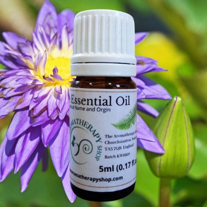 Blue Lotus Essential Oil / Steam Distilled