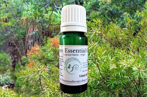 Fragonia Pure Essential Oil (Origin: Australia)