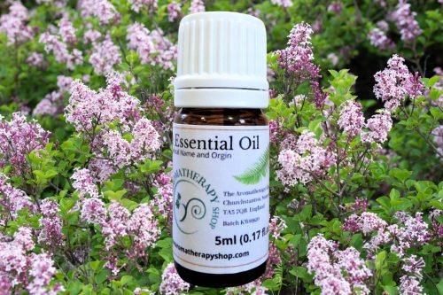 Hungarian Lilac Essential Oil