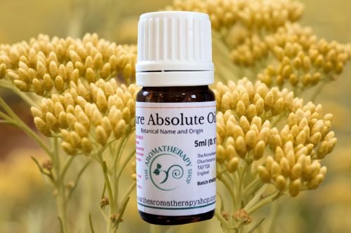 Spanish Immortelle Absolute / 10% in DPG