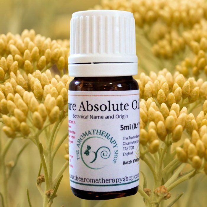 Spanish Immortelle Absolute / 10% in DPG