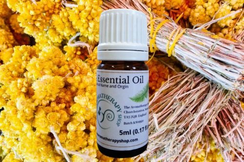 South African Immortelle Essential Oil / Cape Gold