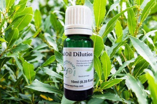Laurel Leaf Essential Oil Dilution (Origin: France)