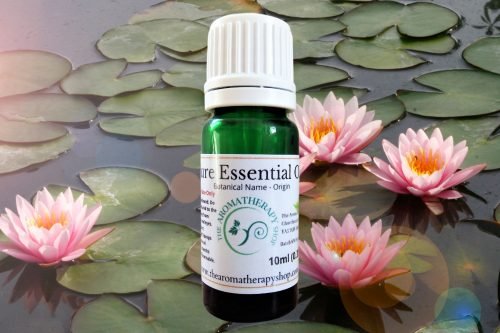Lotus Flower Essential Oil (Origin: Egypt)