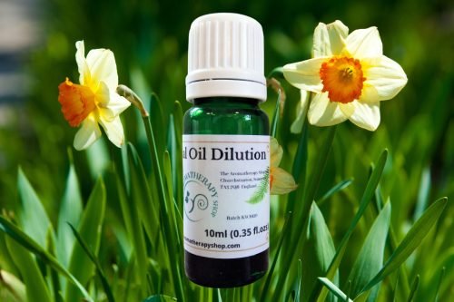 Narcissus Jonquil Essential Oil Dilution