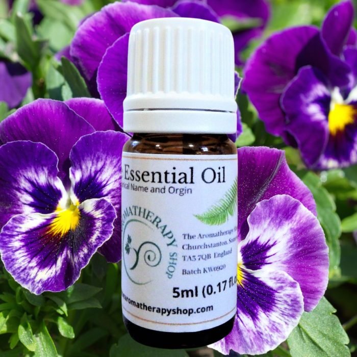 Wild Pansy Pure Essential Oil (Origin: Turkey)
