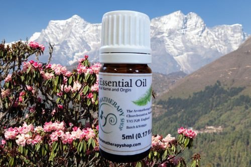 Himalayan Rhododendron Essential Oil (Origin: Nepal)