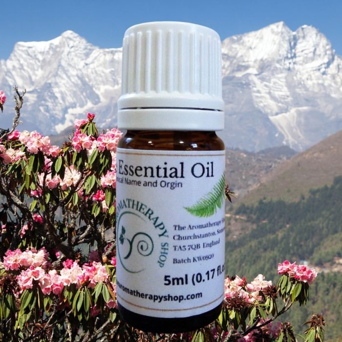 Himalayan Rhododendron Essential Oil (Origin: Nepal)