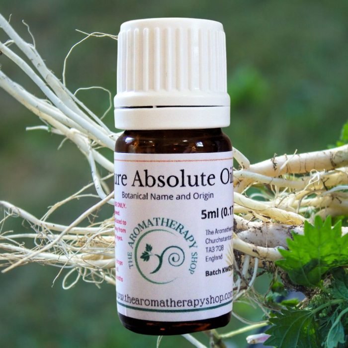 Stinging Nettle Root Absolute Oil (Origin: France)