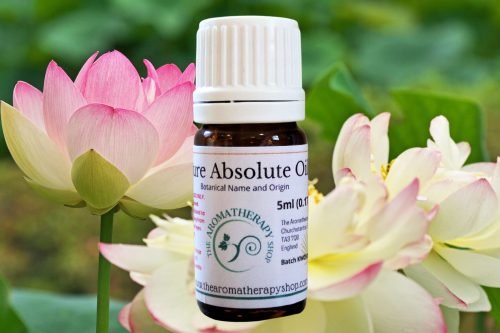 Thailand Lotus Blossom Absolute / Floral & Sweet