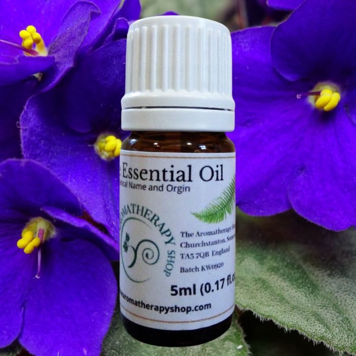 Violet Leaf Pure Essential Oil (Origin: Egypt)