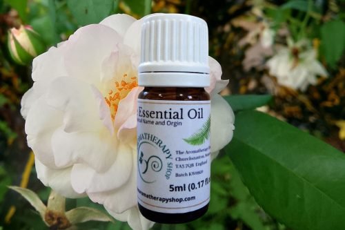 White Otto Pure Essential Oil / GreenCert Certified Organic