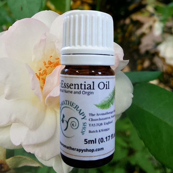 White Otto Pure Essential Oil