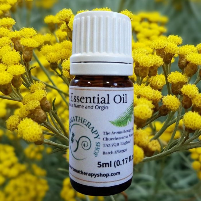 Wild Helichrysum Essential Oil (Origin: Madagascar)