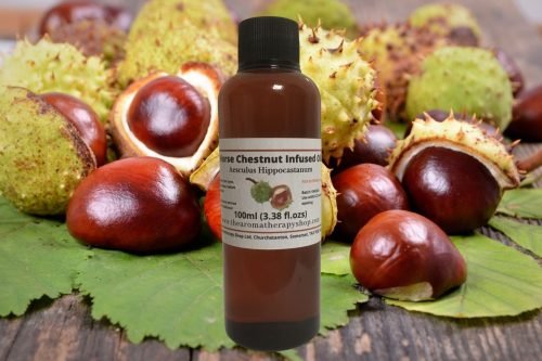 Horse Chestnut Infused Oil